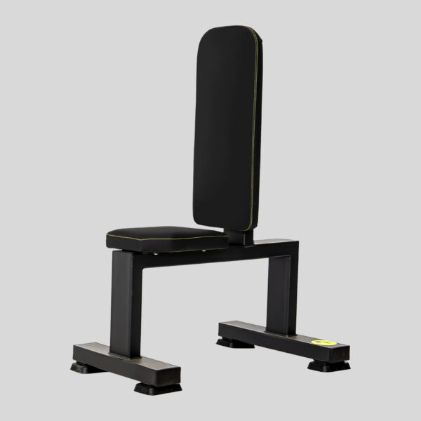 SILLA DE ENTRENAMIENTO 3XL / UTILITY BENCH - FSDX-30 - Imagen 1