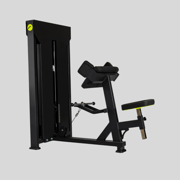 BICEPS SENTADO 60 Kg - FSPX-50 - Imagen 1