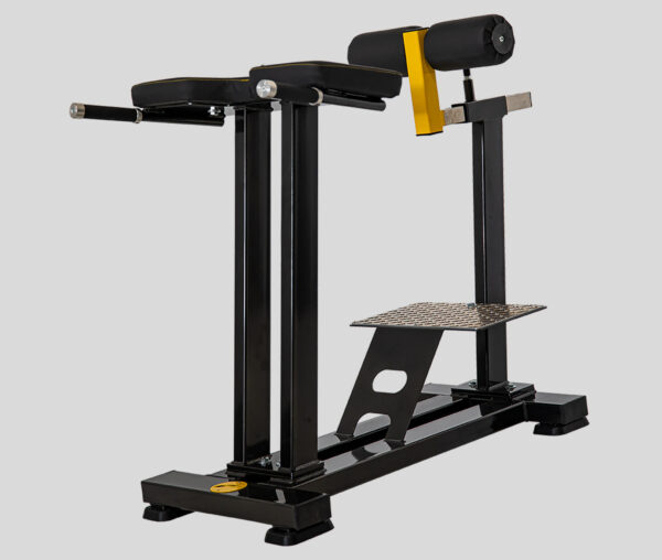 HIPEREXTENSIONES LUMBARES PLANA - FSDX-15 - Imagen 2
