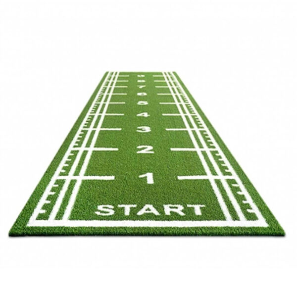PAVIMENTO CESPED CARRIL - Imagen 1