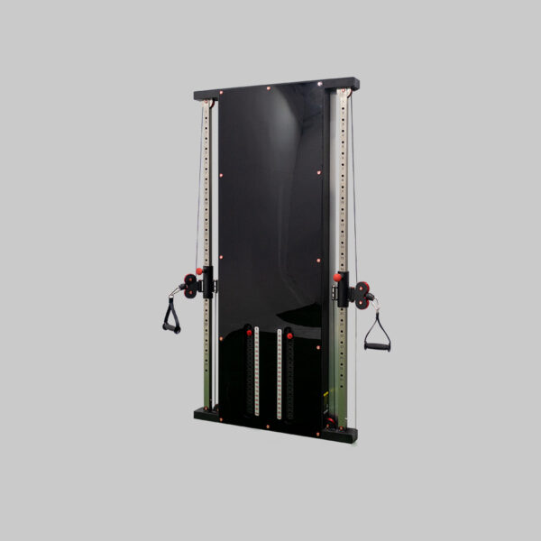 POLEA DUAL CON REGULACIÓN A PARED 100 + 100KG - FSPX-65-P2 - Imagen 1