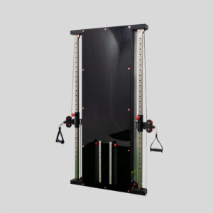 POLEA DOBLE CON REGULACION A PARED 100 KG